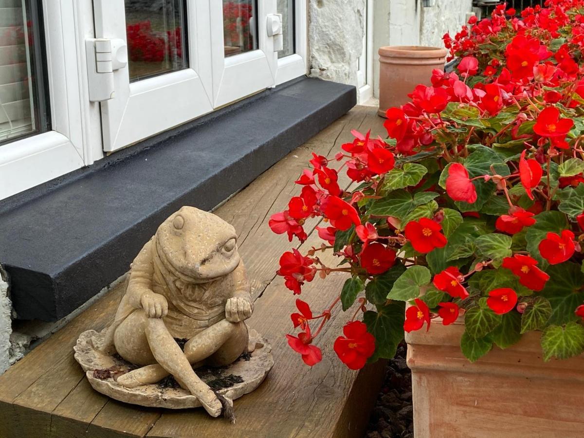 Toadhall Rooms Muchalls Zewnętrze zdjęcie