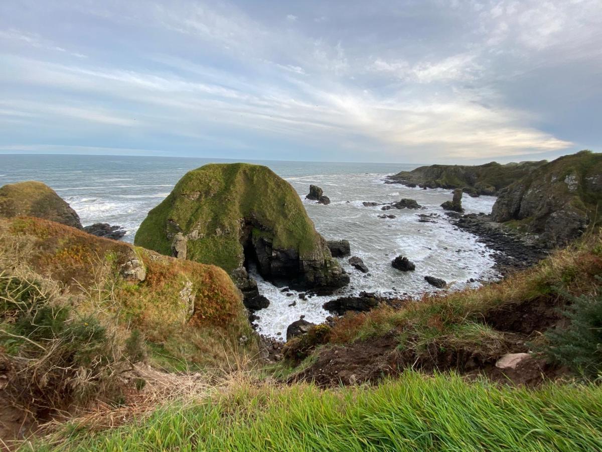 Toadhall Rooms Muchalls Zewnętrze zdjęcie